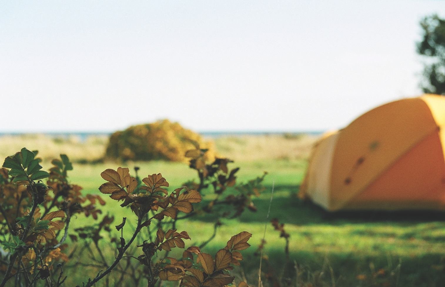 Glamping