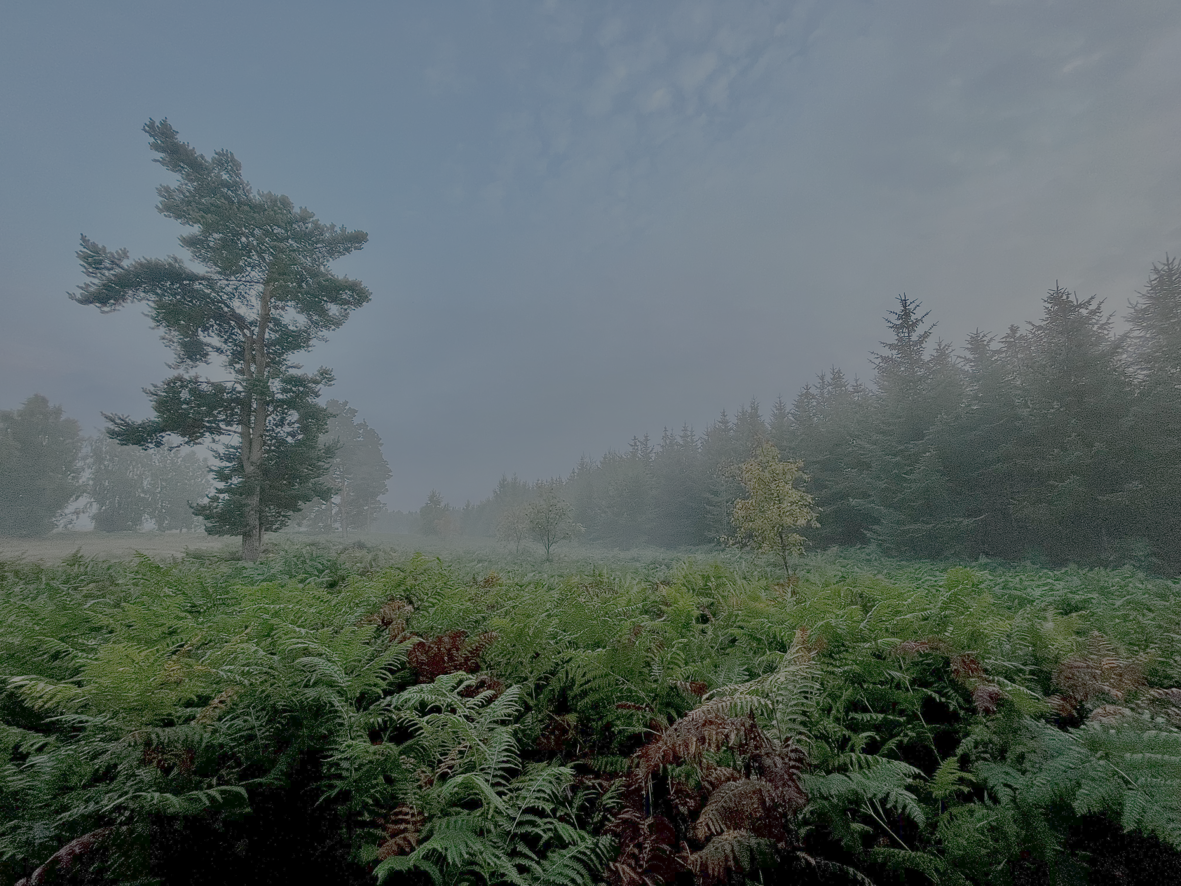 Natur og bæredygtighed